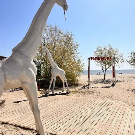 Aliana Ibo * Năvodari