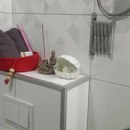 Aliana Ibo * Năvodari