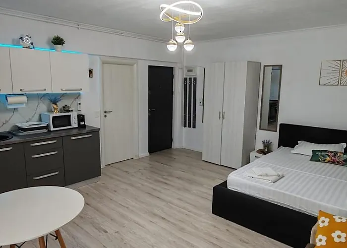 Aliana Ibo Năvodari